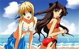 Fate Stay Night HD fondos de pantalla #4