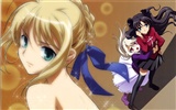 Fate stay night HD wallpapers #8