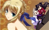Fate stay night 命運待夜臨 高清壁紙 #5