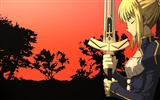 Fate stay night 命運待夜臨 高清壁紙 #15