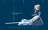 Fate stay night 命運待夜臨 高清壁紙 #18