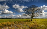 Windows 7 Wallpapers: Impressions from Schleswig-Holstein theme #5