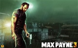 Max Payne 3 fondos de pantalla de alta definición #7