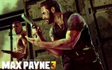 Max Payne 3 馬克思佩恩3 高清壁紙 #8