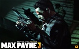 Max Payne 3 馬克思佩恩3 高清壁紙 #14