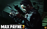 Max Payne 3 Wallpaper HD #14