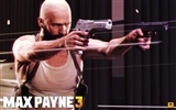 Max Payne 3 馬克思佩恩3 高清壁紙 #16