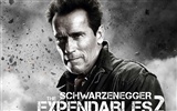 2012 The Expendables 2 敢死隊2 高清壁紙 #4