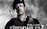 2012 Expendables 2 HD tapety na plochu #9