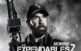 2012 Les 2 fonds d'écran HD Expendables #13