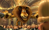 Madagascar 3: Most Wanted de Europa fondos de pantalla de alta definición #7