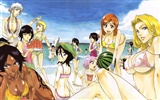 Bleach anime HD tapety na plochu #12