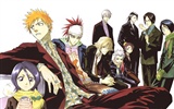 BLEACH HD аниме обои #14