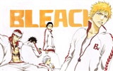 BLEACH 死神高清動漫壁紙 #16