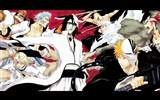 Bleach anime HD tapety na plochu #20