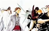 BLEACH HD anime wallpapers #21