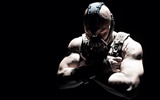 The Dark Knight Rises 2012 fonds d'écran HD #14