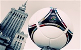 UEFA EURO 2012のHDの壁紙（1） #3