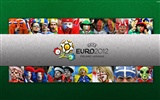 UEFA EURO 2012 HD Wallpaper (1) #10