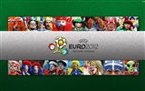 UEFA EURO 2012 fonds d'écran HD (1) #10