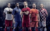 UEFA EURO 2012 HD wallpapers (1) #13