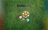 UEFA EURO 2012 HD Tapety na plochu (1) #15