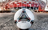 UEFA EURO 2012 HD Wallpaper (1) #18