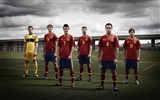 UEFA EURO 2012 HD wallpapers (2) #8