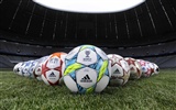 UEFA EURO 2012 fondos de pantalla de alta definición (2) #9