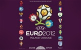 UEFA EURO 2012 fondos de pantalla de alta definición (2) #12