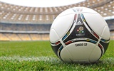 UEFA EURO 2012 HD wallpapers (2) #14