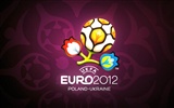 UEFA EURO 2012 fonds d'écran HD (2) #15