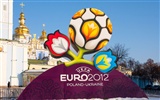 UEFA EURO 2012 欧洲足球锦标赛 高清壁纸(二)17