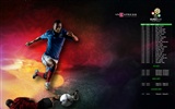 UEFA EURO 2012 HD wallpapers (2) #18