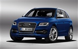 2013 Audi SQ5 TDI 奥迪 高清壁纸