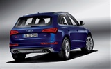 2013 Audi SQ5 TDI HD wallpapers #4