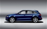 2013年アウディSQ5 TDI HDの壁紙 #5