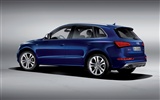 2013 Audi SQ5 TDI 奧迪 高清壁紙 #6