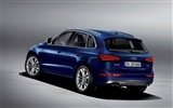 2013 Audi SQ5 TDI 奧迪 高清壁紙 #7