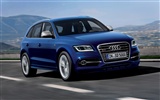 2013 Audi SQ5 TDI 奧迪 高清壁紙 #8