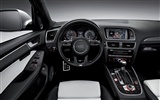 2013 Audi SQ5 TDI 奥迪 高清壁纸18