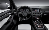 2013 Audi SQ5 TDI HD wallpapers #18