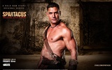 Spartacus : 혈액과 모래의 HD 월페이퍼 #8