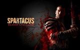 Spartacus: Blood and Sand HD tapety na plochu #12