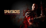 Spartacus: Blood and Sand 斯巴達克斯：血與沙高清壁紙 #13