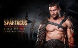 Spartacus: Blood and Sand 斯巴達克斯：血與沙高清壁紙 #13