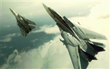 Ace Combat: Assault Horizon HD Wallpaper #6