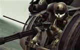 Ace Combat: Assault Horizo​​n 皇牌空戰7：突擊地平線高清壁紙 #15