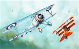 Militares vuelo de las aeronaves exquisitos pintura #14