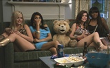 Ted 2012 泰迪熊2012 高清壁紙 #6